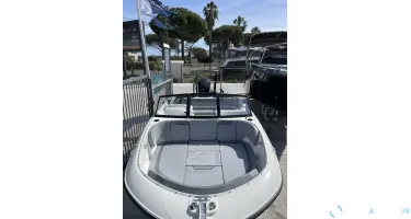 Bayliner Element M17