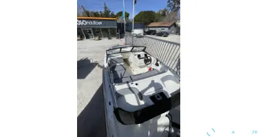 Bayliner Element M17