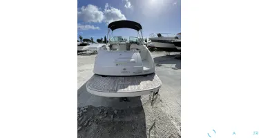 Bayliner  802 Cuddy
