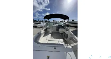 Bayliner  802 Cuddy