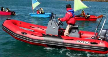 Zodiac Pro 500