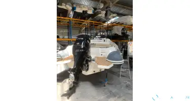 Nuova Jolly Prince 24