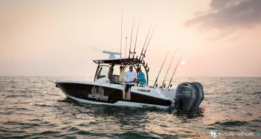Wellcraft Fisherman 302