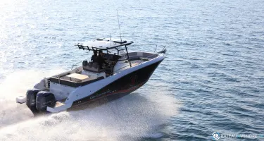 Jeanneau Cap Camarat 9.0 CC
