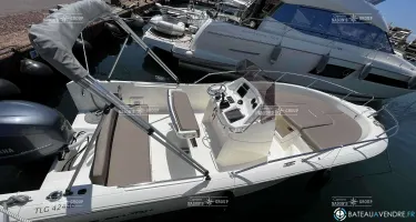 White Shark  230 CC Origin