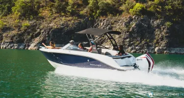 Bayliner V20