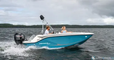 Bayliner Element M15