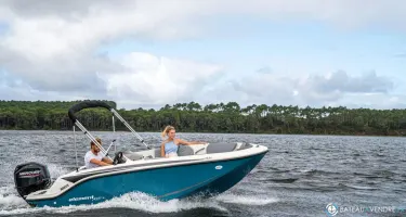 Bayliner Element M15