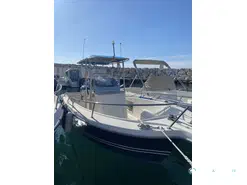 White Shark  205