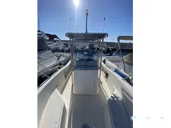 White Shark  205