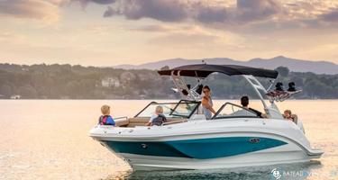 Sea Ray  250