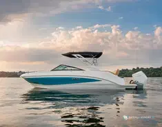 Sea Ray  250