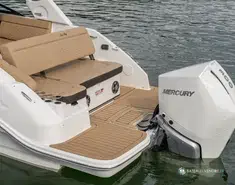 Sea Ray  250