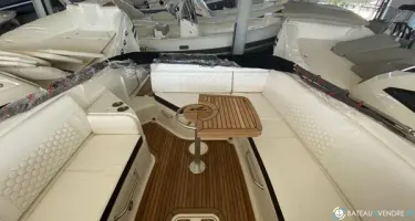Sea Ray SDX 270