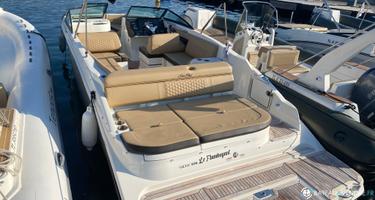 Sea Ray SDX 270