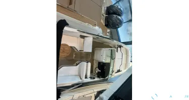 Sea Ray SDX 250 OB