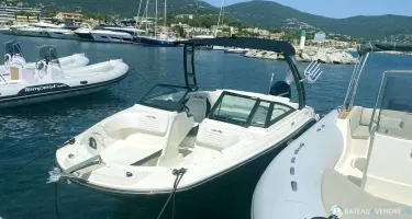 Sea Ray  210