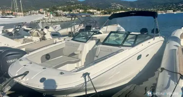 Sea Ray  290