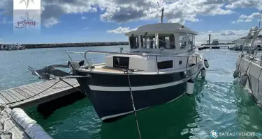 Rhea  30 Evolution