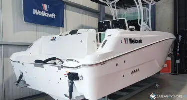 Wellcraft Fisherman 262