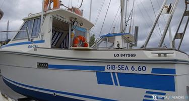 Gib Sea  660