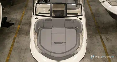 Bayliner Element M17