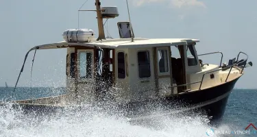 Rhea  850 Timonier
