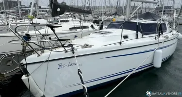 Wrighton Biloup 36