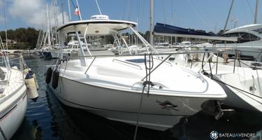 Boston Whaler  320 Outrage