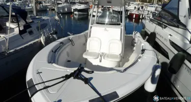 Sea Fox  256 CC