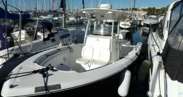 Sea Fox  256 CC