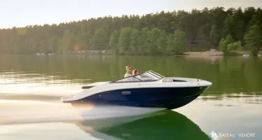 Sea Ray SPX 190