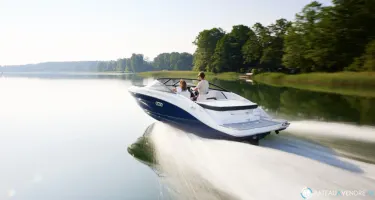 Sea Ray SPX 190