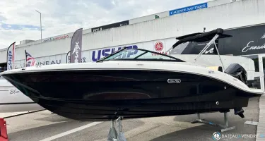 Sea Ray  210 SPX OB