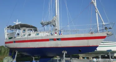 AGM Carambola 38