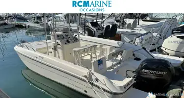 Bayliner Element CC7