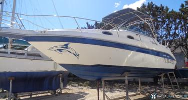 Sea Ray  250 Sundancer