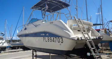 Sea Ray  250 Sundancer