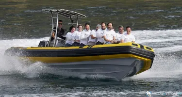 Tarpon DV 70