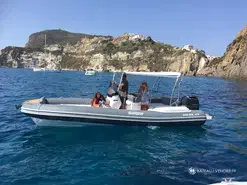 Salpa Soleil 23