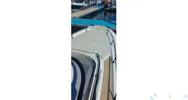 Salpa Soleil 33