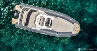 Salpa Soleil 26