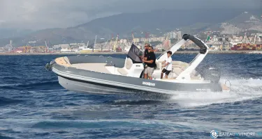 Salpa Soleil 26