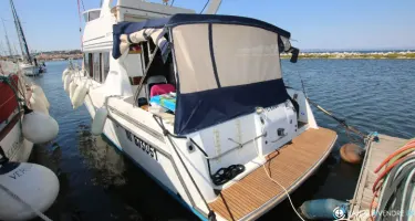 Carver  320 Voyager