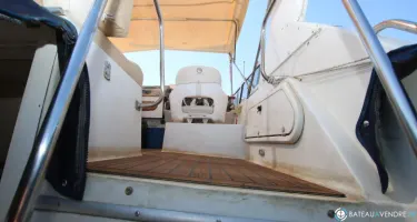 Carver  320 Voyager