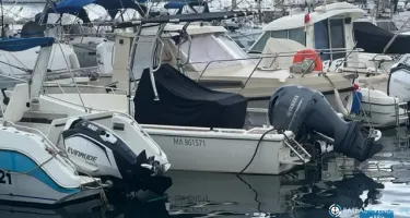 White Shark  215