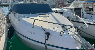 Ranieri Sea Lady 23