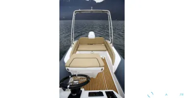 Salpa Soleil 20
