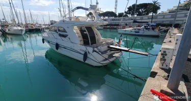 Sealine  F 33
