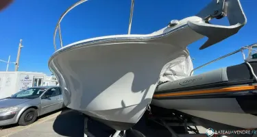 White Shark  210 CC Origin